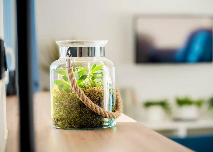 Okno Na Spodek * Катовице